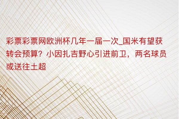 彩票彩票网欧洲杯几年一届一次_国米有望获转会预算？小因扎吉野心引进前卫，两名球员或送往土超